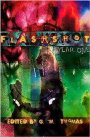 flashshotyearone.jpg